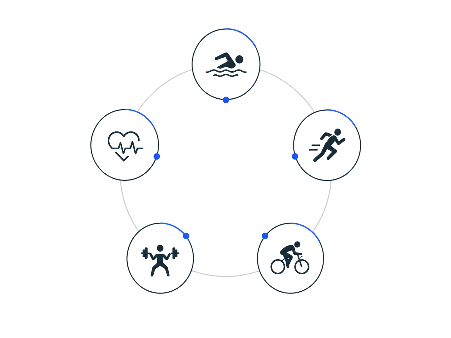 Focus Momentum Icongrafik: Schwimmen, Laufen, Radfahren, Kraft und Ausdauer